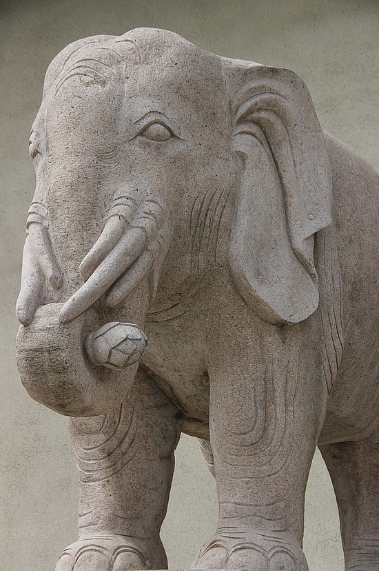 Sechshornelefant