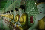 45 Buddhas