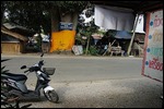 Hondapause an größtem Mangobaum Thailands
