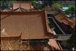 Dem Tempel aufs Dach geschaut