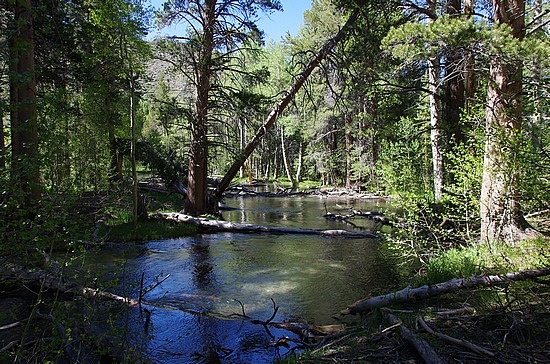 Parker Creek